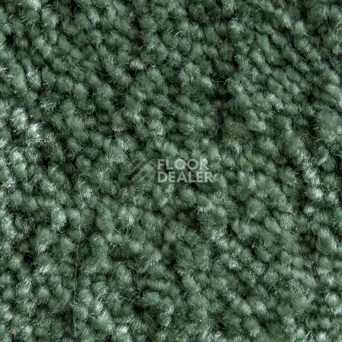 AW Masquerade Fedone / Федонэ 24 фото 2 | FLOORDEALER