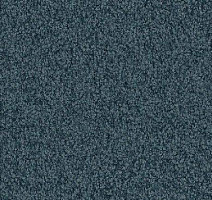 Ковролин Vorwerk Viola 4f30 фото 1 | FLOORDEALER