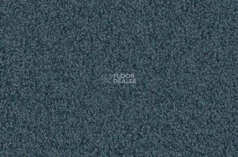 Ковролин Vorwerk Viola 4f30 фото 1 | FLOORDEALER