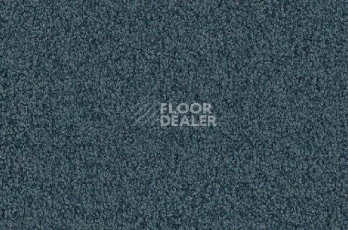 Ковролин Vorwerk Viola 4f30 фото 1 | FLOORDEALER