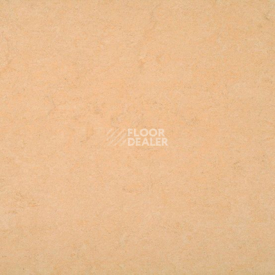 Линолеум Marmorette DLW  2mm 0098 Desert Beige фото 1 | FLOORDEALER