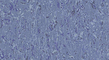 Mipolam Cosmo 2636_Overseas фото 1 | FLOORDEALER