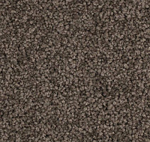 Ковролин Balsan Serenite 770 фото 1 | FLOORDEALER