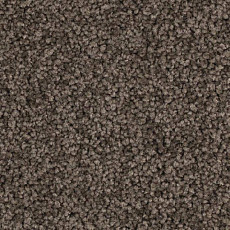 Ковролин Balsan Serenite 770 фото 1 | FLOORDEALER