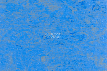 Forbo Marmoleum Solid Concrete 3739-373935 blue glow фото 1 | FLOORDEALER