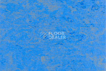 Линолеум Forbo Marmoleum Solid Concrete 3739-373935 blue glow фото 1 | FLOORDEALER
