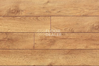 Ламинат My Step Terra Aqua Block MS148AB Дуб Рим фото 1 | FLOORDEALER