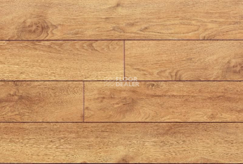 My Step Terra Aqua Block MS148AB Дуб Рим фото 1 | FLOORDEALER