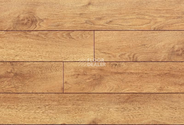 Ламинат My Step Terra Aqua Block MS148AB Дуб Рим фото 1 | FLOORDEALER