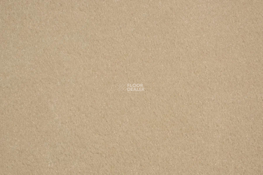 Vorwerk Passion 1000/Modena Vorwerk 8a72 фото 2 | FLOORDEALER