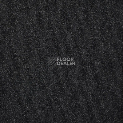 Ковролин Big Splendor 158 фото 1 | FLOORDEALER