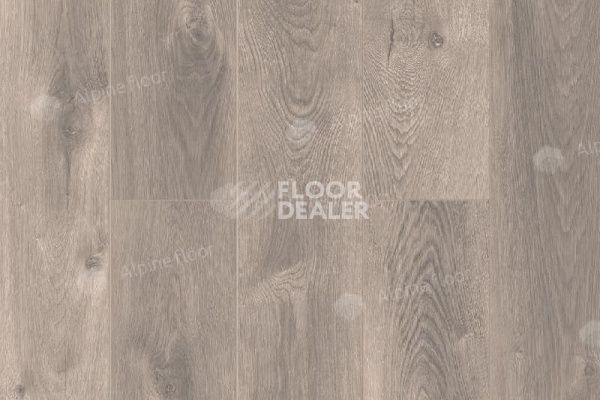 Виниловая плитка ПВХ Alpine Floor Premium XL Дуб Грей Дождливый ECO 7-4 фото 1 | FLOORDEALER