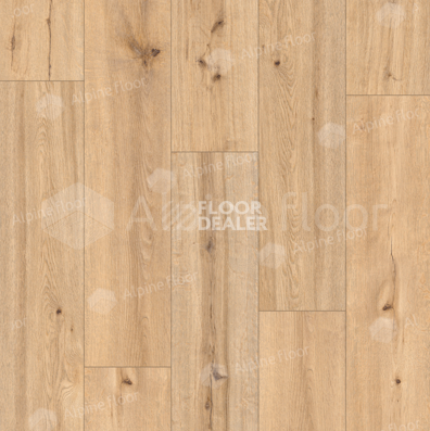 Alpine Floor by Classen Pro Nature 4мм Barranquilla 62537 фото 2 | FLOORDEALER