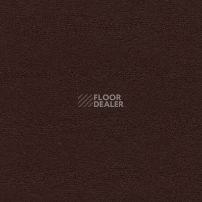 Ковролин Finett Feinwerk 403509 фото 1 | FLOORDEALER