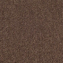 Ковролин Tarkett Dragon Dragon 11431  | FLOORDEALER