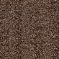 Ковролин Tarkett Dragon Dragon 11431 фото 1 | FLOORDEALER