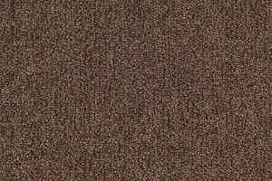 Ковролин Tarkett Dragon Dragon 11431 фото  | FLOORDEALER