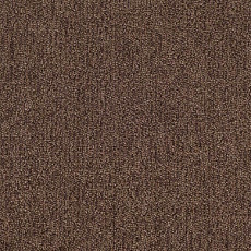 Ковролин Tarkett Dragon Dragon 11431 фото 1 | FLOORDEALER