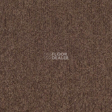 Ковролин Tarkett Dragon Dragon 11431 фото 1 | FLOORDEALER