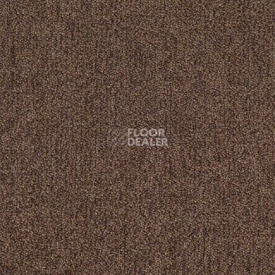 Ковролин Tarkett Dragon Dragon 11431 фото 1 | FLOORDEALER