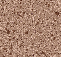 Линолеум Grabo Terrana Top Extra 4115-272 фото 1 | FLOORDEALER