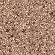 Линолеум Grabo Terrana Top Extra 4115-272 фото 1 | FLOORDEALER
