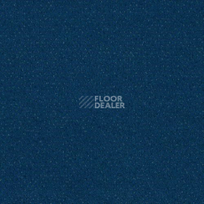 Ковролин Sintelon Orion 44839 фото 1 | FLOORDEALER