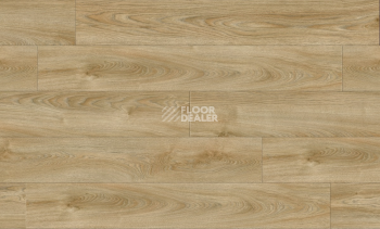 Next Acoustic дерево VALLEY OAK 240 BO фото 4 | FLOORDEALER