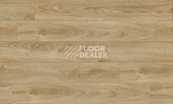 Moduleo Next Acoustic дерево VALLEY OAK 240 BO фото 4 | FLOORDEALER