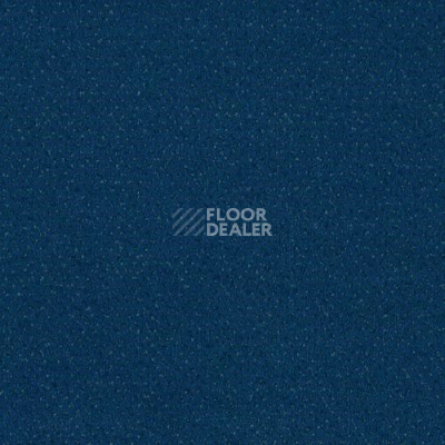 Ковролин Sintelon Orion 44839 фото 1 | FLOORDEALER