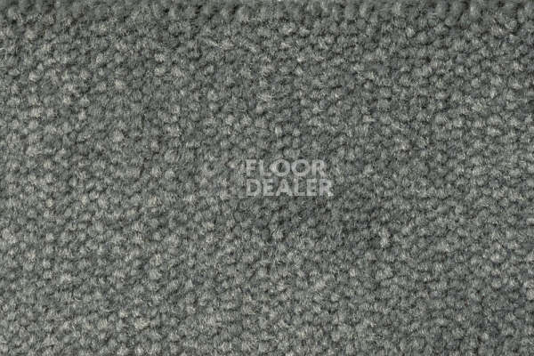 Ковролин AW Prima AW Prima 95 фото 1 | FLOORDEALER