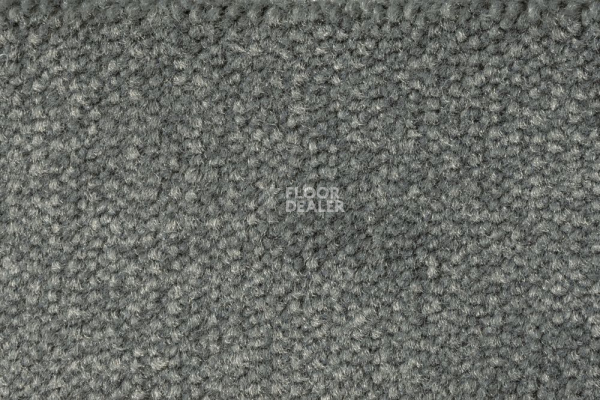 Ковролин AW Prima 95 фото 1 | FLOORDEALER