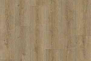 Линолеум Tarkett Praktika BRUNO_2 фото  | FLOORDEALER