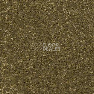 Ковролин AW Tresor 23 фото 1 | FLOORDEALER