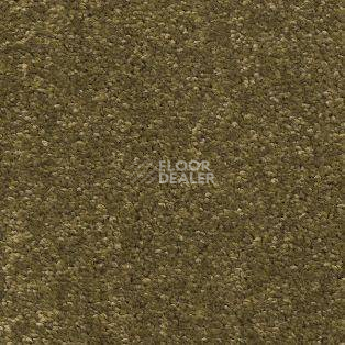 Ковролин AW Tresor 23 фото 1 | FLOORDEALER