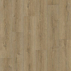 Линолеум Tarkett Praktika BRUNO_2 фото 1 | FLOORDEALER