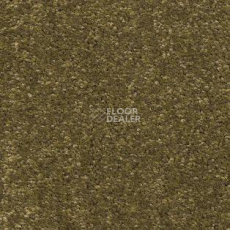 Ковролин AW Tresor 23 фото 1 | FLOORDEALER