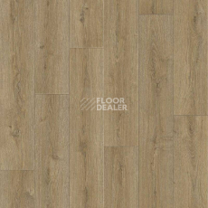 Линолеум Tarkett Praktika BRUNO_2 фото 1 | FLOORDEALER