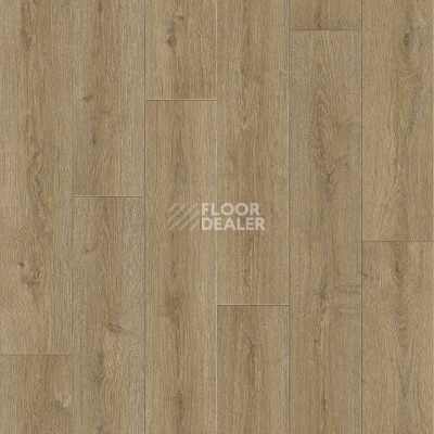 Линолеум Tarkett Praktika BRUNO_2 фото 1 | FLOORDEALER