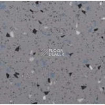 Линолеум Apoluza SportFloor PVC Emery Safety BXSF20-7010 фото 1 | FLOORDEALER