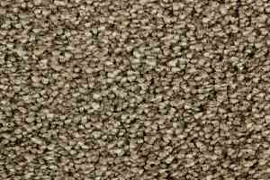 Ковролин Edel Wild Romance 242 фото  | FLOORDEALER