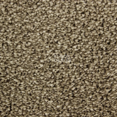 Ковролин Edel Wild Romance 242 фото 1 | FLOORDEALER