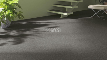 Vorwerk Essential 1031 Vorwerk 9f58 фото 2 | FLOORDEALER