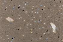 Forbo SureStep Original 171262 umber фото 2 | FLOORDEALER