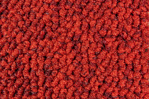 Season - Summer / Winter 570 фото 2 | FLOORDEALER