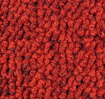 Season - Summer / Winter 570 фото 2 | FLOORDEALER