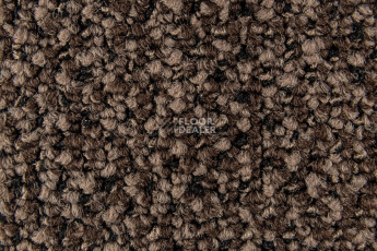 Balsan Take a Walk 780 Take a Walk фото 3 | FLOORDEALER