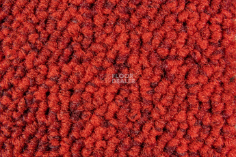 Season - Summer / Winter 570 фото 2 | FLOORDEALER