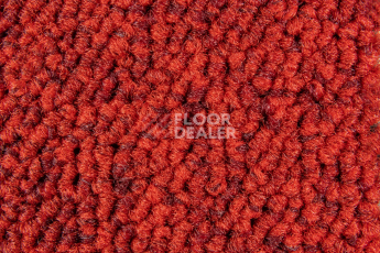 Balsan Season - Summer / Winter 570 фото 2 | FLOORDEALER
