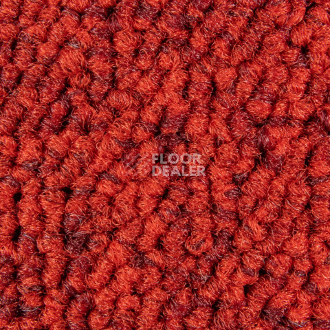 Balsan Season - Summer / Winter 570 фото 2 | FLOORDEALER